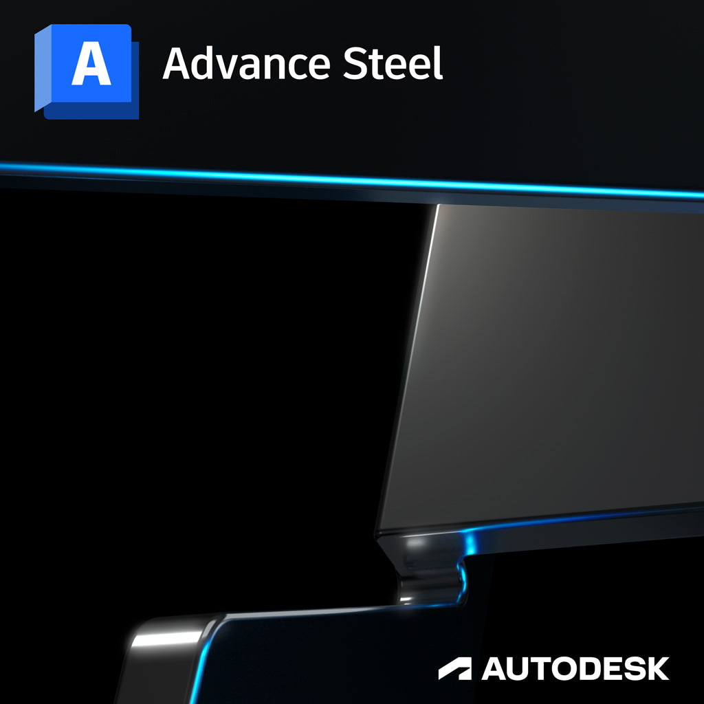Advanced Steel Training